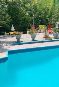 uma piscina com flores, mesas e cadeiras em La Casita Inn Bustamante em Bustamante