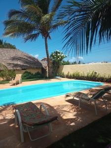uma piscina com duas espreguiçadeiras e uma palmeira em Pousada Chica Pitanga em São Miguel do Gostoso