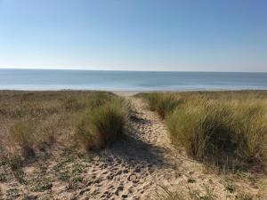 un camino de arena a través del césped en una playa en Maison Bord de mer à Noirmoutier, en Barbâtre