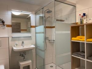 a bathroom with a glass shower and a sink at Fewo Belinda, Tiengen Zentrum in Waldshut-Tiengen +25 photos