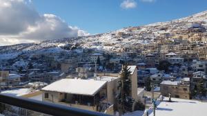 Üldine mäevaade või majutusasutusest Snow View Suite סוויטת סנו וויו pildistatud vaade