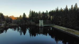 Naturlandskabet i nærheden af lejligheden