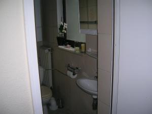 a small bathroom with a toilet and a sink at Gemütliches Ferienhaus Mainz in Mainz