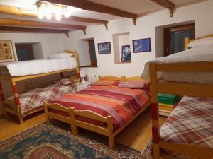 1 dormitorio con 2 literas en una habitación en AGRITURISMO FARE BIO, en Tarvisio