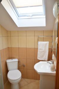 uma casa de banho com um WC e um lavatório com uma clarabóia em Apartamenty Milówka Centrum em Milówka