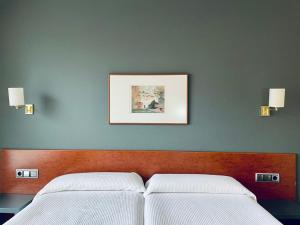 a bedroom with two beds and a picture on the wall at Hotel Yerri in Estella