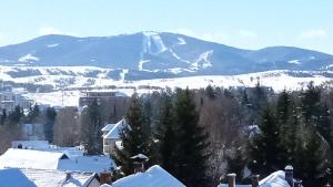 Gallery image of MK Zlatibor in Zlatibor +65 photos