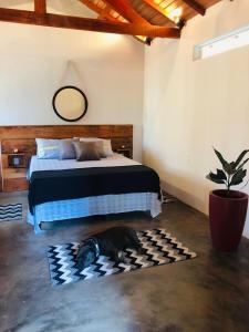 a bedroom with a bed and a rug on the floor at Pousada Chalés da Lua in Munhoz