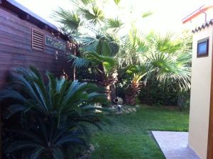 a yard with palm trees and a house at Villa Rosa in Porto Empedocle