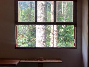a window in a room with a view of trees at Pousada Chalés da Lua in Munhoz