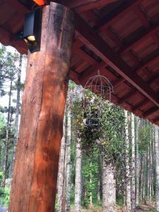 a wooden beam with vines on it in a forest at Pousada Chalés da Lua in Munhoz