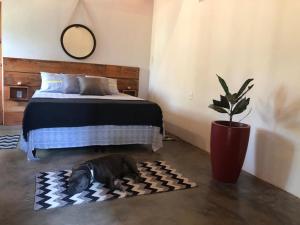 a dog laying on a rug in a bedroom at Pousada Chalés da Lua in Munhoz