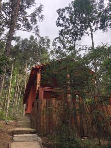 ein kleines Haus mitten im Wald in der Unterkunft Pousada Chalés da Lua in Munhoz