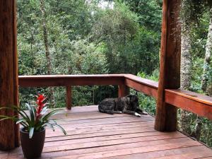 a black dog laying on a wooden deck at Pousada Chalés da Lua in Munhoz