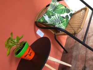 a chair with a plant on it next to a pillow at Pousada Chalés da Lua in Munhoz