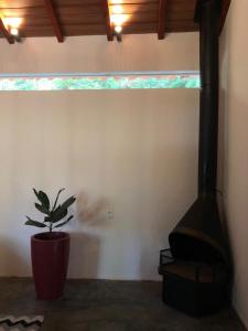 a plant in a pot in a room with a stove at Pousada Chalés da Lua in Munhoz