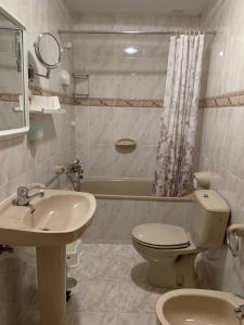 a bathroom with a toilet and a sink and a tub at Apartamento Rural Lago Enol in Cangas de Onís