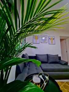 a living room with a blue couch and a green plant at Beautiful Apartment - up to 4 guests - Leicester City Centre . Free WIFI in Leicester