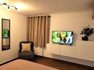a bedroom with a television and a chair at Rose Garden House in Bucharest