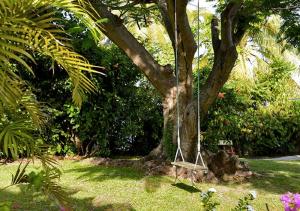 Zahrada ubytování Le Jardin du Petit Macabou