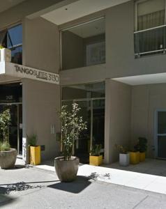 a building with two large potted plants in front of it at Carlos Gardel Tango Studio in Buenos Aires