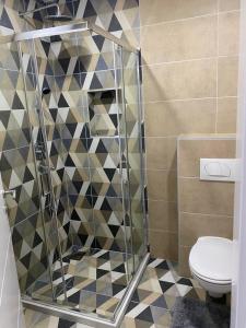 a bathroom with a toilet and a mosaic wall at Apartmani Milić Banja Koviljača in Banja Koviljača +44 photos
