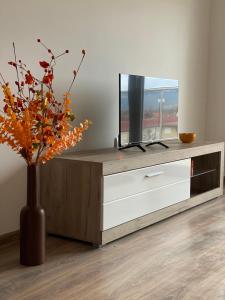 a tv sitting on top of a dresser with a vase at Apartmani Milić Banja Koviljača in Banja Koviljača