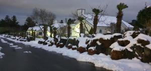 Photo de la galerie de l'établissement Jeju Skyline Pension, à Jeju 39 autres photos