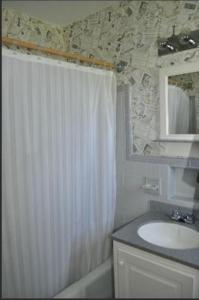 a bathroom with a shower curtain and a sink at Luray Caverns Motels in Luray