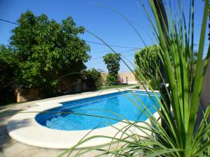 Kép Rural house with private pool, new and beautiful garden szállásáról Conil de la Fronterában a galériában