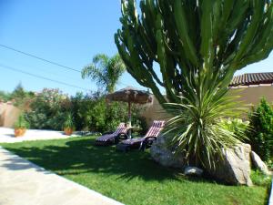 Kép Rural house with private pool, new and beautiful garden szállásáról Conil de la Fronterában a galériában