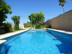 Kép Rural house with private pool, new and beautiful garden szállásáról Conil de la Fronterában a galériában