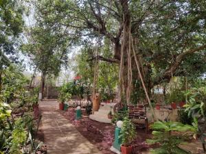 un giardino con altalena sotto un albero di Gir Birding Lodge a Sasan Gir