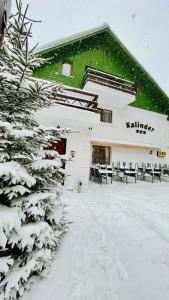 ブシュテニにあるPensiunea Kalinderの雪に覆われた建物