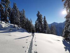 Alpenblick de Luxe v zime