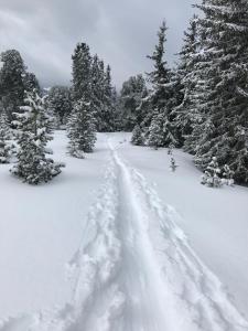 Alpenblick de Luxe v zime