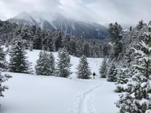 Alpenblick de Luxe v zime