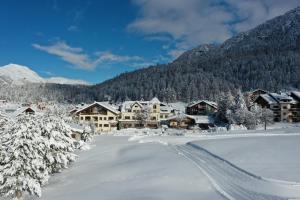 ośrodek wypoczynkowy na śniegu z drzewami pokrytymi śniegiem w obiekcie Hotel Bellavista w mieście Silvaplana