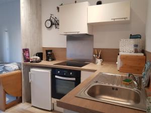 LE CHÈVREFEUILLE في بونت سانت ماكسانس: مطبخ صغير مع حوض وموقد