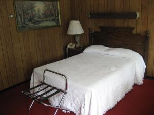1 dormitorio con cama, lámpara y teléfono en Fountain View Motel, en Richfield Springs