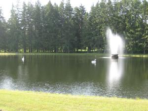 a fountain in the middle of a lake with ducks at Fountain View Motel in Richfield Springs