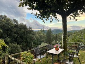 una mesa y sillas bajo un árbol con vistas en Can Canaleta Hotel Rural, en Santa Coloma de Farners