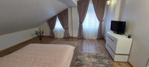 a room with a bed and a tv and two windows at Central Palace Iași Apart in Iaşi +11 photos