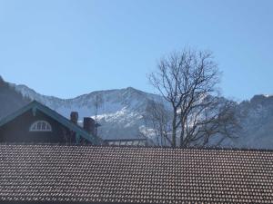 a roof of a house with mountains in the background at Haus Bamberger in Fischbachau