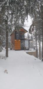 a cabin in the woods in the snow at Joca in Bajina Bašta
