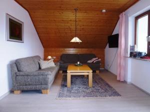 ein Wohnzimmer mit einem Sofa und einem Tisch in der Unterkunft Buchbergblick Haus Rumpel in Sigmaringen