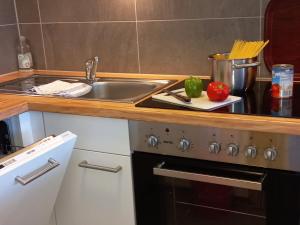 uma cozinha com um lavatório e um fogão forno superior em LB1 Seeblick Appartement Haus Landskron direkt am Ossiachersee em Landskron