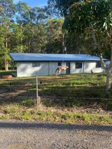 a bird flying in the air in front of a house at Rural Self Contained 3 bedroom Cottage on acreage, in Landsborough