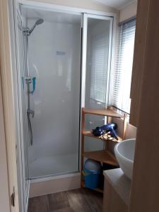een badkamer met een douche en een wastafel bij ZP 237 - Camping de Zandput in Vrouwenpolder