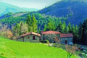 a house on top of a green hill with trees at Casale Camalda in Serravalle